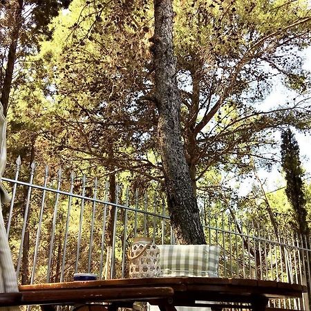 Malibu Studios & Apartments Lassi  Luaran gambar